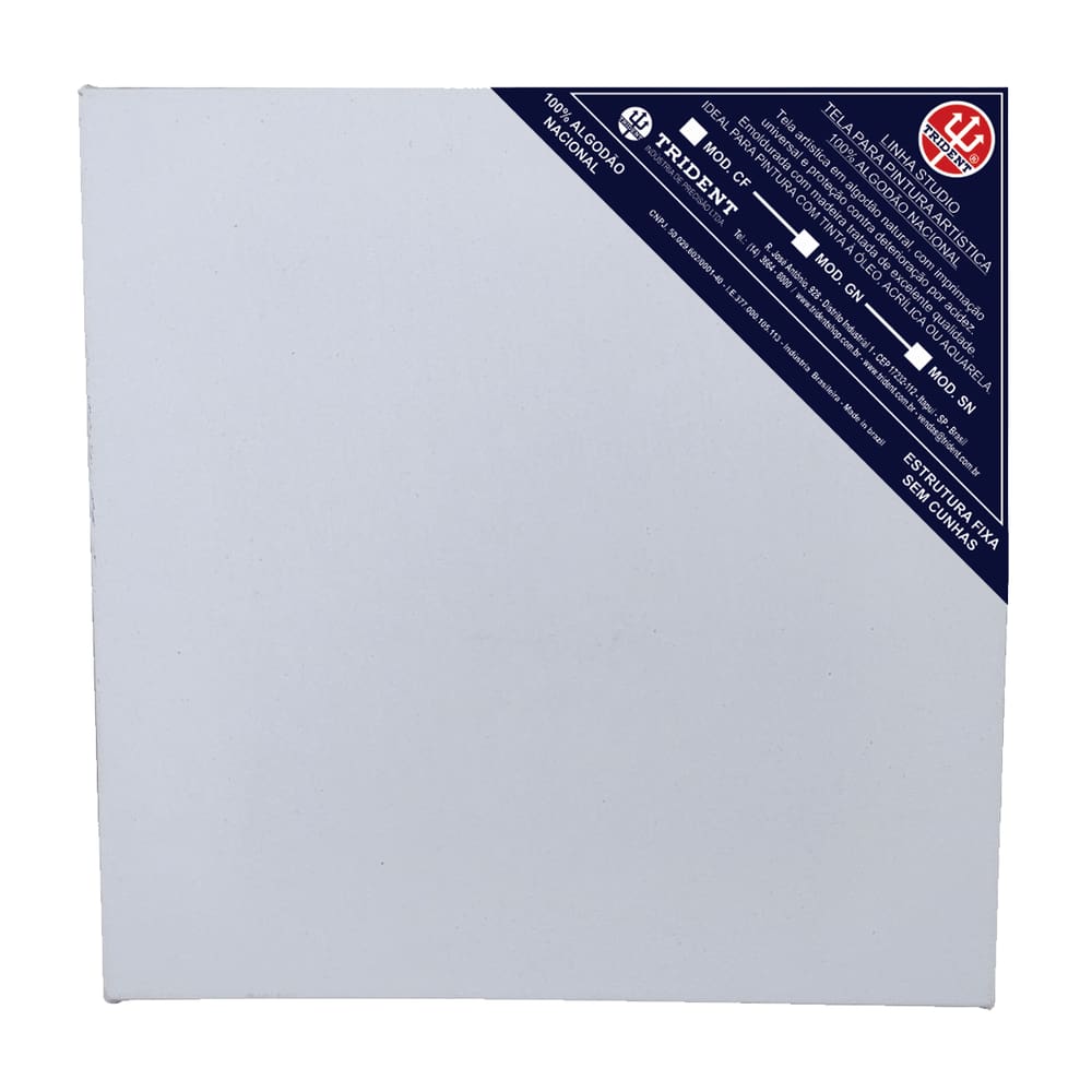 Tela De Pintura Studio Linha SN 60X70