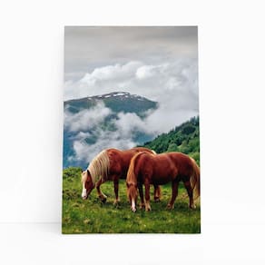 Cavalos Montanhas Nuvens Paisagem Quadro Canvas 60X40Cm