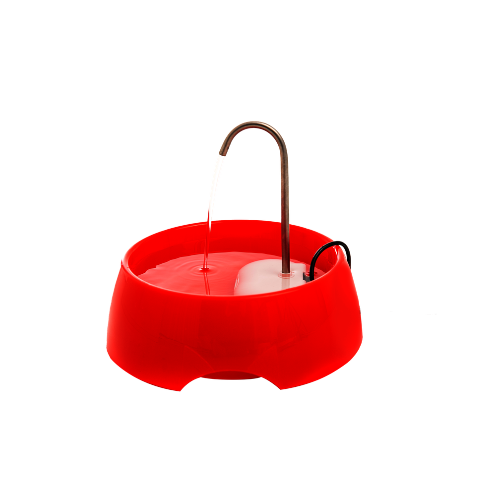 Bebedouro De Gato Aqua Pop Bivolt Usb Com Adaptador