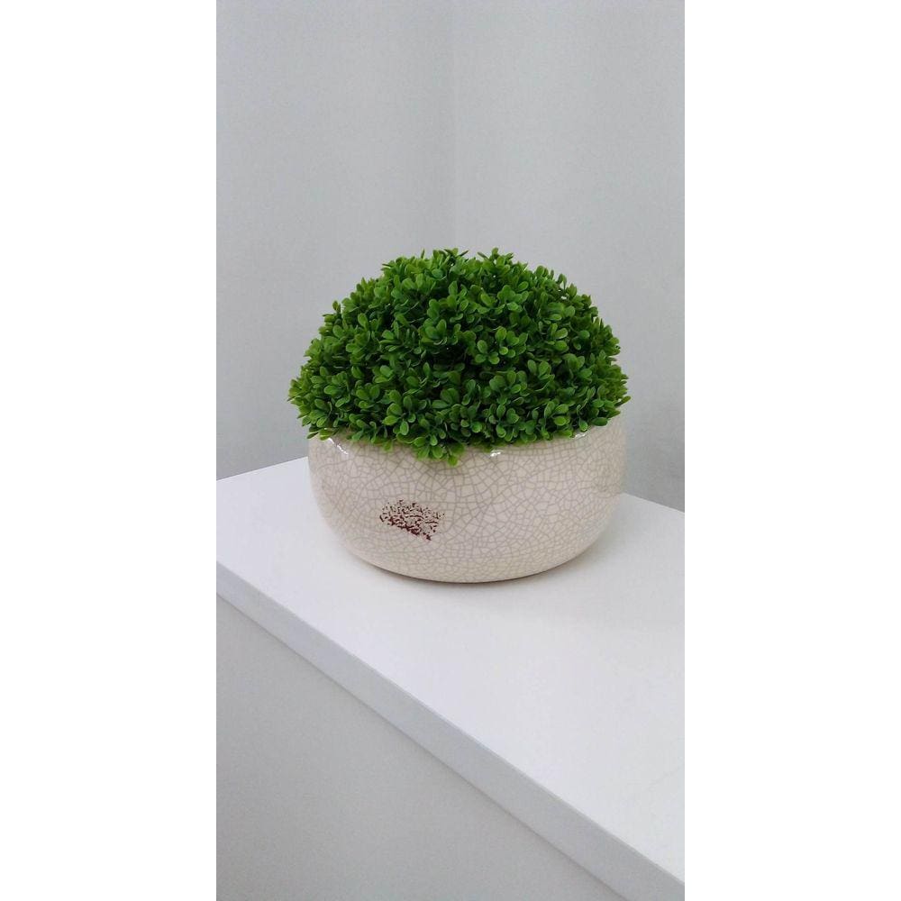 Meia Bola Topiaria Permanente 15 x 26 cm