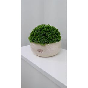 Meia Bola Topiaria Permanente 15 x 26 cm