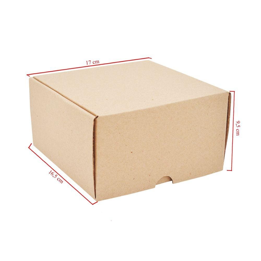 Caixa De Papelão Com 50 Unidades Embalagens 17cm x 16.5cm x 9.5cm