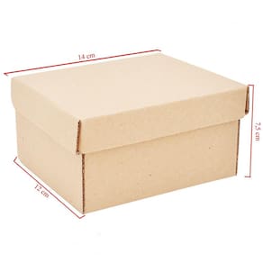 Caixa De Papelão Simples Com 50 Unidades Embalagens 14cm x 12cm x 7.5cm