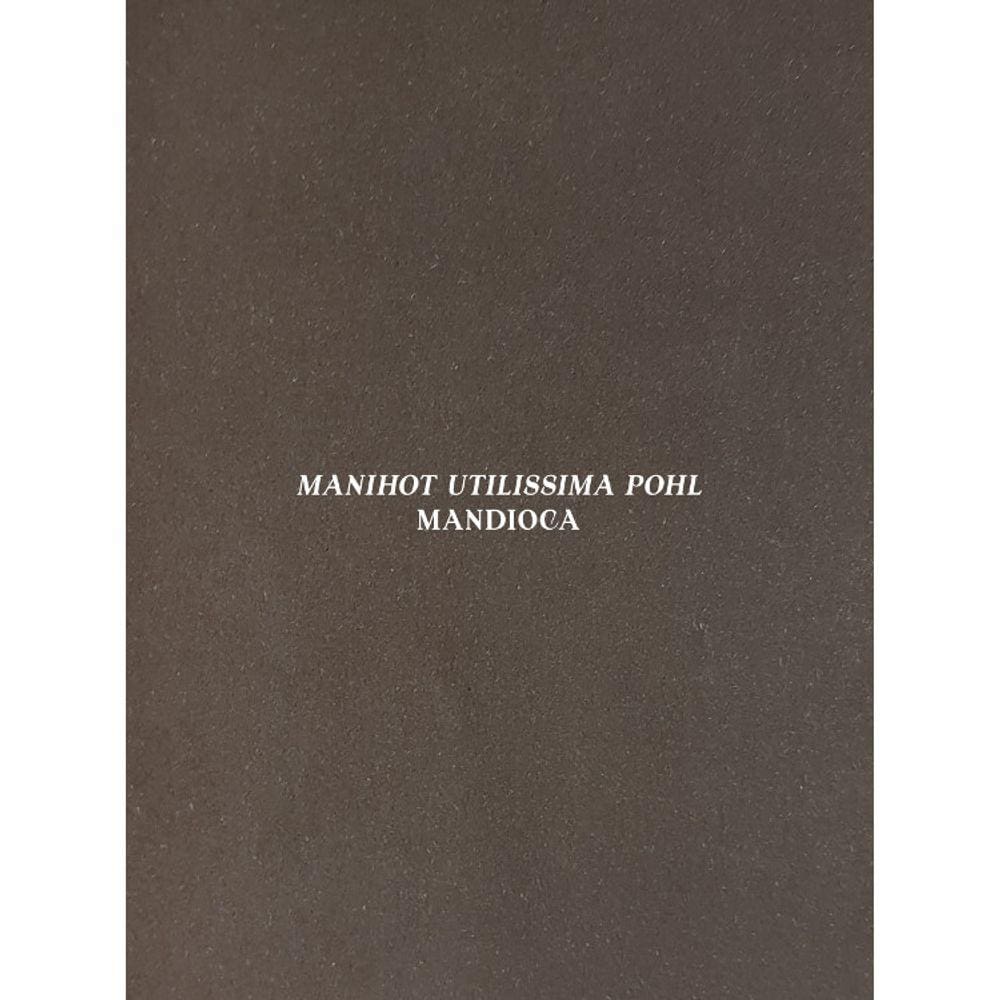 Mandioca - Manihot Utilissima Pohl