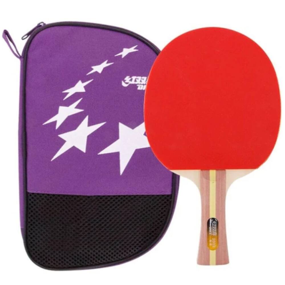 Raquete Tênis De Mesa Clássica Dhs 2002 Approved ITTF