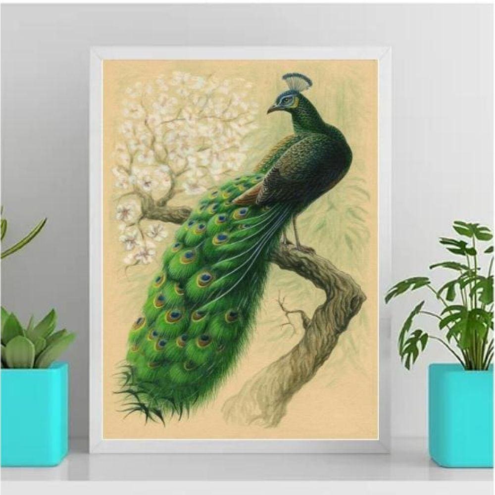 Quadro Decorativo Pássaro Pavão 24X18Cm - Com Vidro Preta