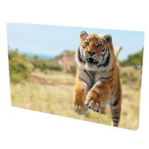 Quadro Decorativo em Tela com Borda Infinita Tigre Correndo