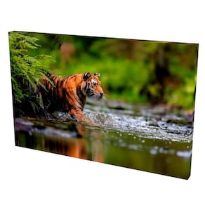Quadro Decorativo- Tela Borda Infinita Tigre Siberiano III
