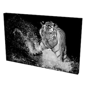 Quadro Decorativo- Tela com Borda Infinita Tigre de Sumatra
