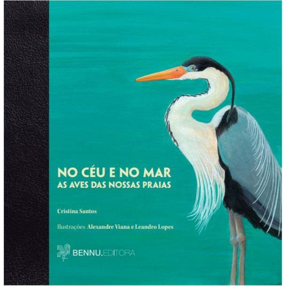 No céu e no mar as aves das nossas praias