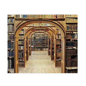 Fundo Fotográfico Gigante 3D Biblioteca 3,00X2,50 Horizontal