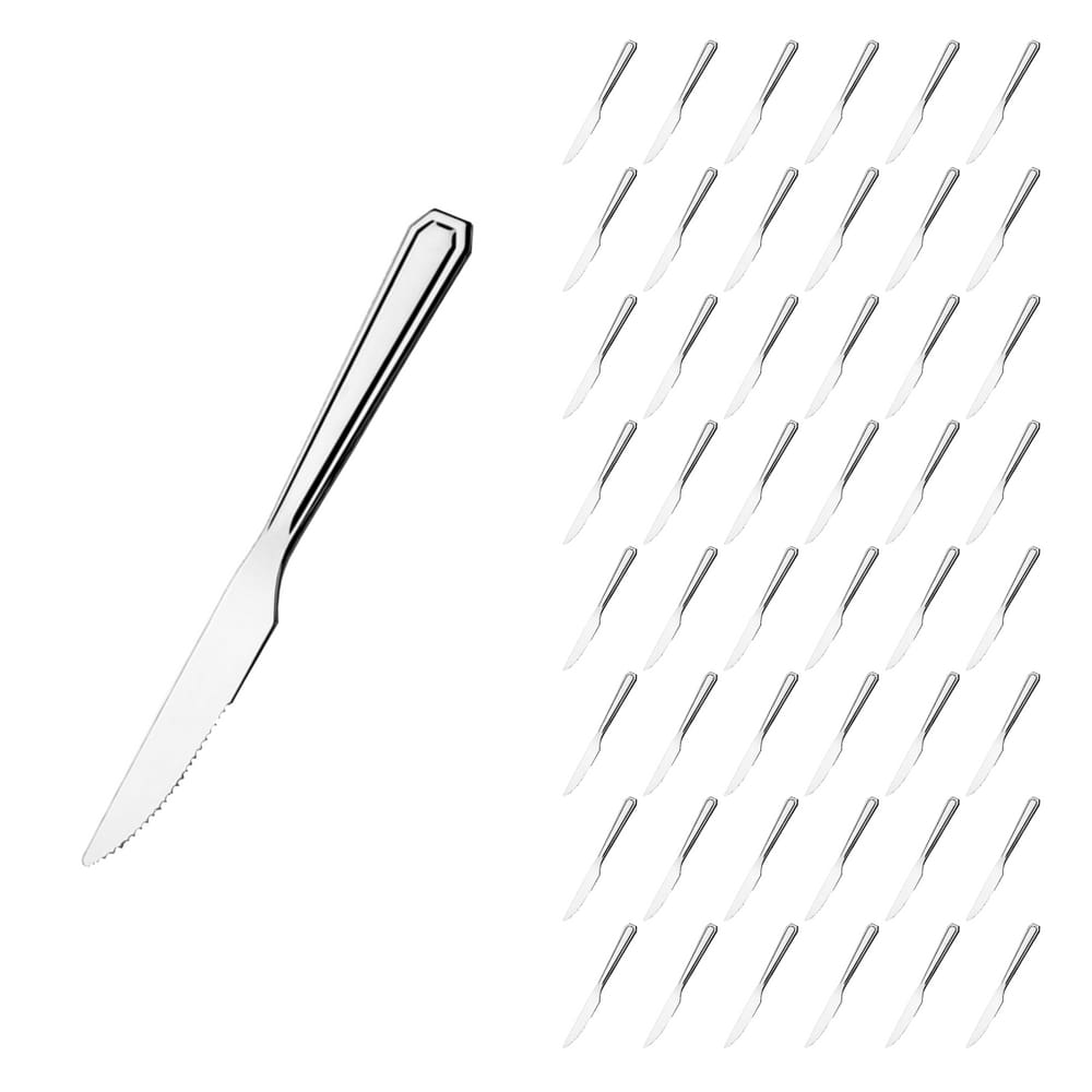 Kit Casa Faca Inox Reforçada 48 Pçs Bar / Restaurante