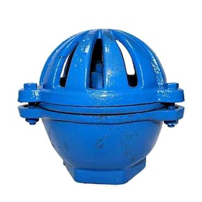 Valvula Pe Sucção De Ferro Fundido Tamanho 6"