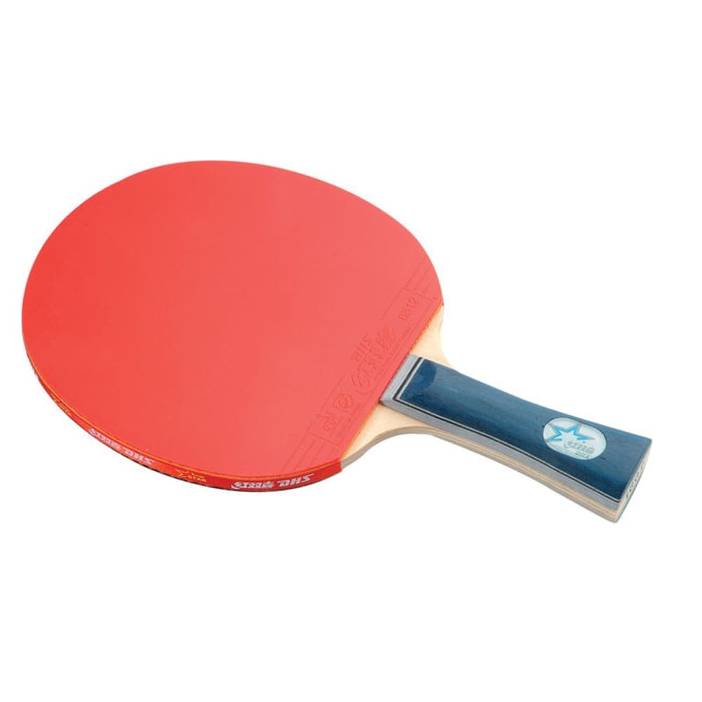 Raquete Tenis De Mesa Dhs 1002 Com Capa Treino Classica