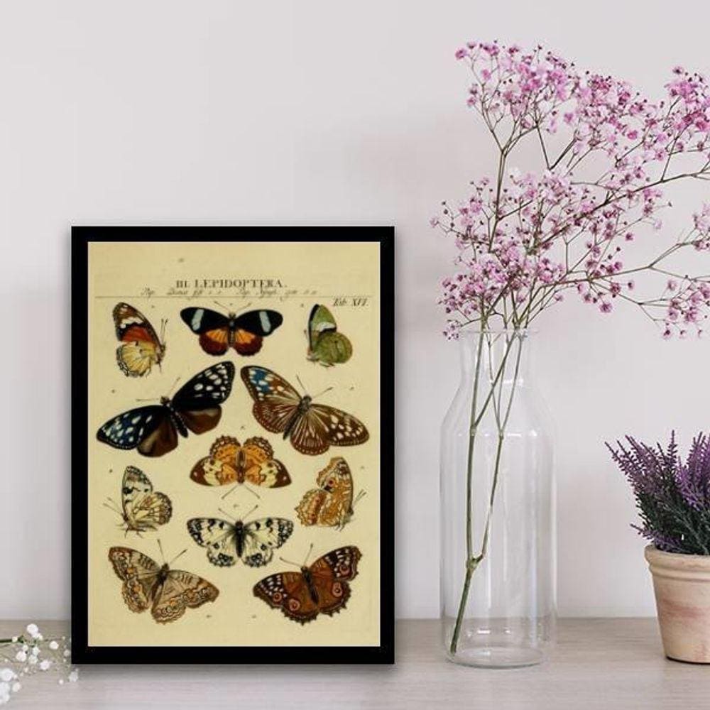 Quadro Decorativo Espécie De Borboletas 45X34Cm Preta