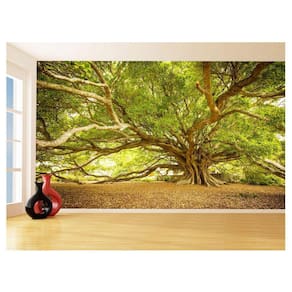 Papel De Parede Floresta Árvore Gigante Folha 3,5M Xna236