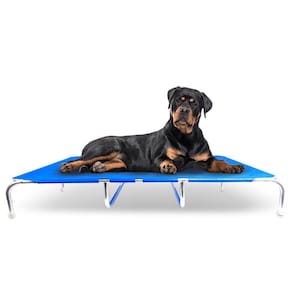Cama Suspensa Mec dreams Tamanho XL Cor Azul  Mec G