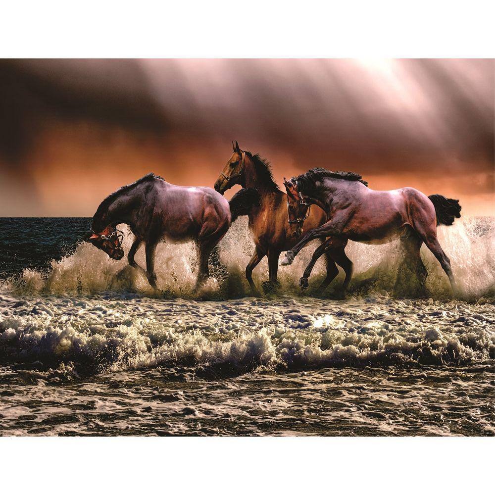 Fundo Fotográfico Em Tecido Cavalos Na Praia 2,80X1,50.