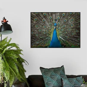 Quadro Canvas Decorativo para Sala Pavão 30x42
