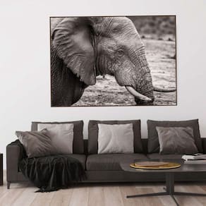 Quadro Canvas Decorativo para Sala Elefante 90x1,20