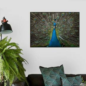 Quadro Canvas Decorativo para Sala Pavão 40x60