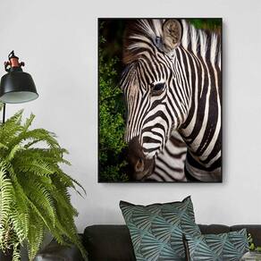 Quadro Canvas Decorativo para Sala Savana Africana Zebra 1,20x90