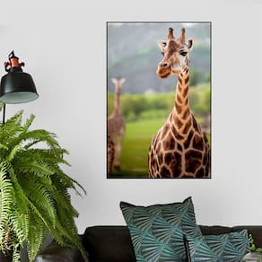 Quadro Canvas Decorativo para Sala Girafa 60x40