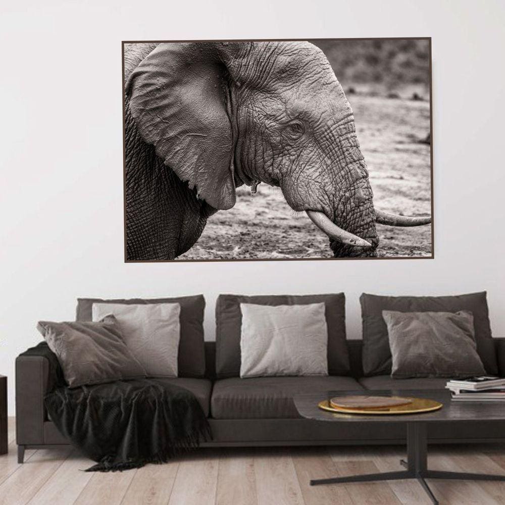 Quadro Canvas Decorativo para Sala Elefante 70x90