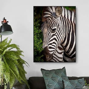 Quadro Canvas Decorativo para Sala Savana Africana Zebra 1,00x80