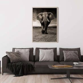 Quadro Canvas Decorativo para Sala Elefante Savana 60x40
