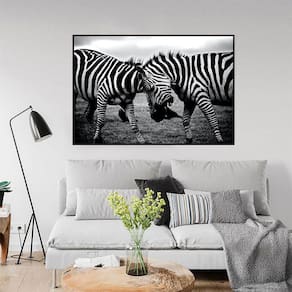 Quadro Canvas Decorativo para Sala Zebras 30x42