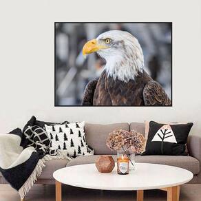 Quadro Canvas Decorativo para Sala Águia 80x1,00