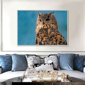 Quadro Canvas Decorativo para Sala Coruja 40x60