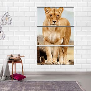 Quadro Canvas Decorativo para Sala 3 Telas Leoa 55x1,10