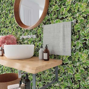 Papel de Parede 18M   Folhagem Tipo Ficus variegata Jardim Tropical Auto Colante Planta jiboia