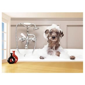Papel De Parede Animal Cão Petshop Banho Tosa 3,5M Anm384
