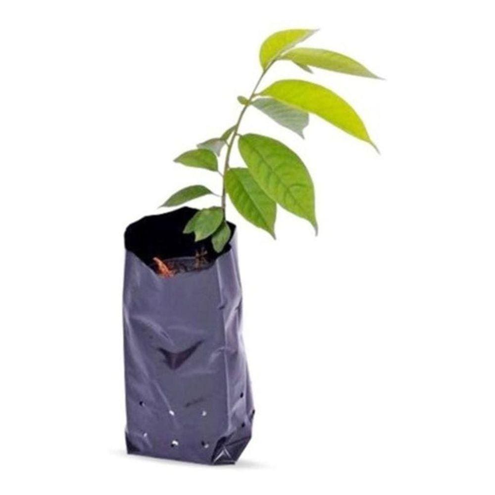 Saco Plástico Para Mudas 15 X 24 X 08 Cm Preto 500 Unidades