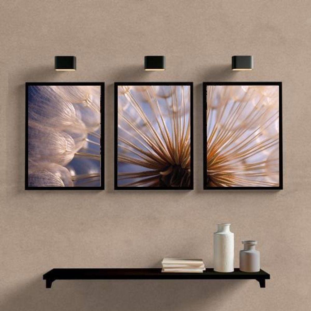 Kit 3 Quadros Complementares Dente Leão 33X24Cm Vidro Preta