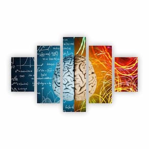 Quadro Mente Psicologia Cálculos Decorativo Canvas Ne15C5P