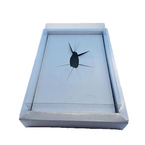 Embala Cristal Caixa Para Ovo De Colher 350G Borda Branco