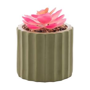 Cachepot de Cimento C/Suculenta Lines Verde Musgo 7,5cm 61587 - Wolff