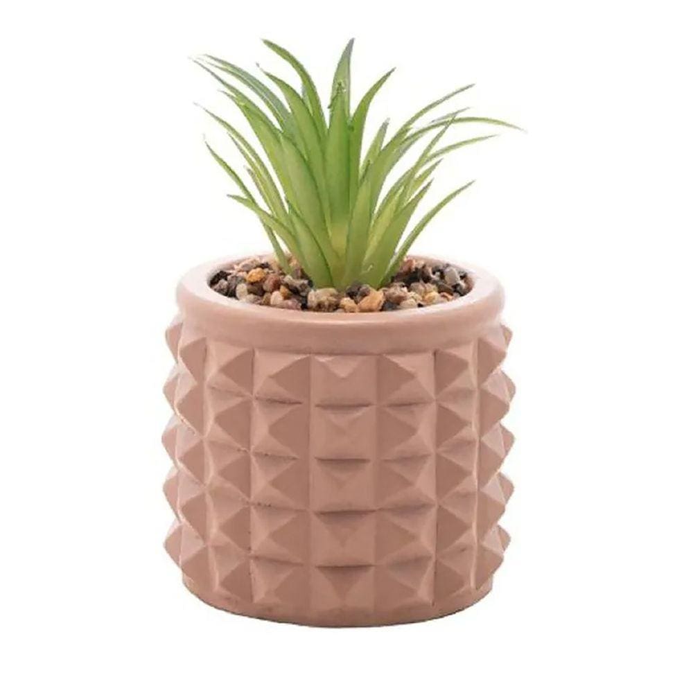 Cachepot de Cimento C/Suculenta Spikes Marrom 7,5cm 61574 - Wolff