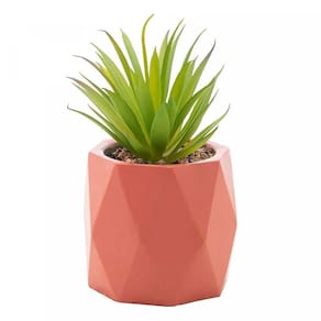 Cachepot de Cimento C/Suculenta Diamond Salmao 7,5cm 61583 - Wolff