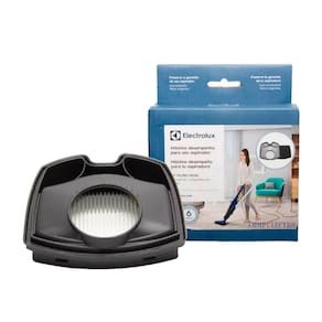 Kit Filtros Aspirador Electrolux Dyn10 A18834601