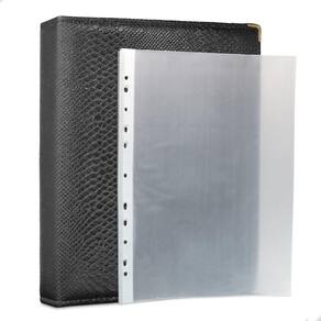 Álbum Fichário 30 Folhas PP Cédulas 1 Espaço 32x24 Cobra G