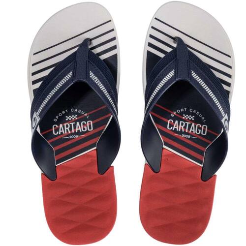 Chinelo de Dedo Masculino Casual Palmilha Texturizada Cartago Dallas 12158