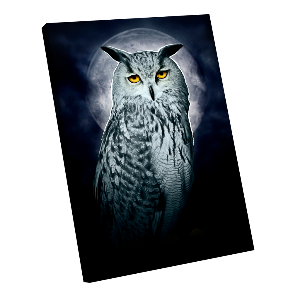 Quadro Coruja