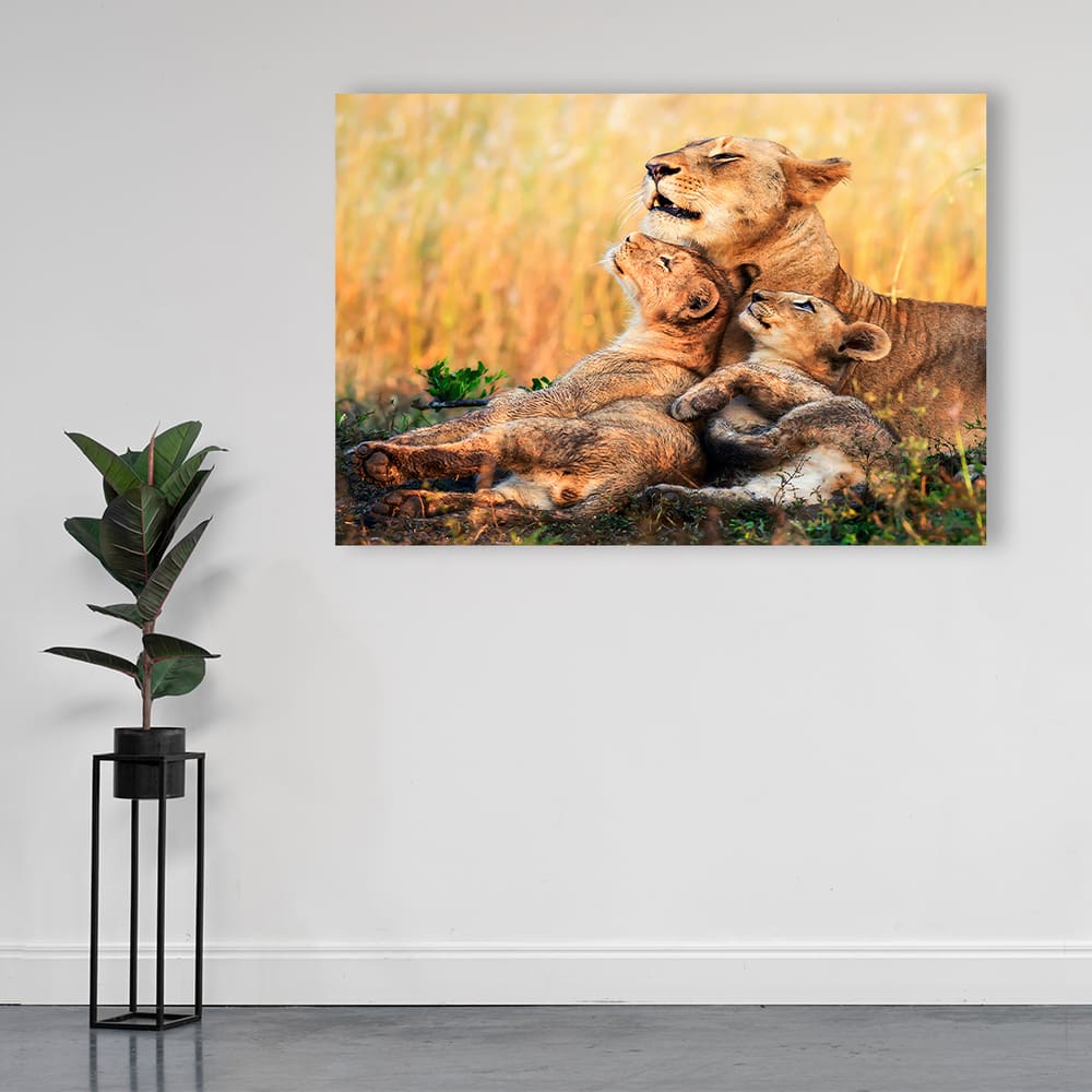 Quadro Decorativo Leoa Rainha