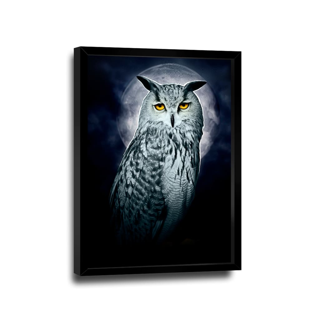 Quadro Coruja