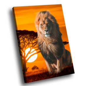 Quadro Lion Summer -- BR ARTES Grande 118x78
